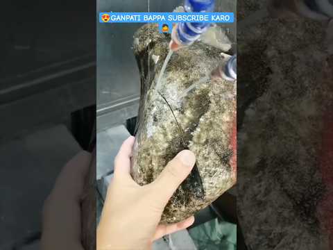 🙇Jay Ganesh Deva 🙇 #vectorworld #short