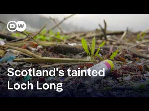 What is polluting one of Scotland’s most remote lochs? | Focus on Europe