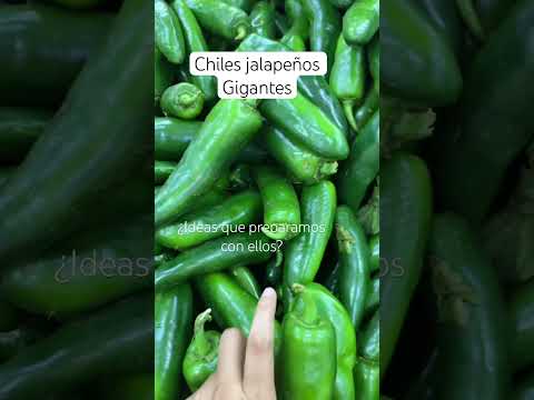 Chiles jalapeños gigantes, me encontré en el super !! 🤤🤤🤤