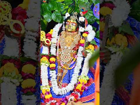 राधा दामोदर भगवान बाल स्वरूप में दर्शन दिए 🙏🙏#वृंदावनधाम