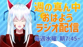 【朝活/雑談】梅雨明けたのかい!?明けてないのか!?どっちなんだい!?~朝から元気な雑談配信~2025/06/25~【#vtuber 二ノ又