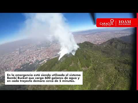#10AM recorrió el Cerro El Cable para ver el daño ambiental causado por los incendios en Bogotá