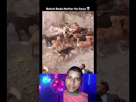 #funny #comedy #lion #love #😈😈