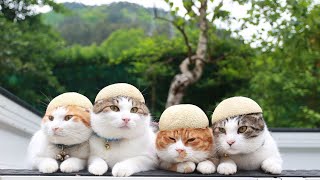 動画サムネイル