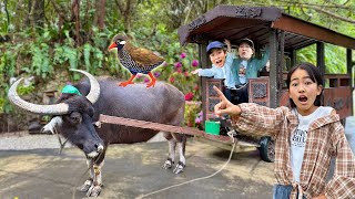 動画サムネイル