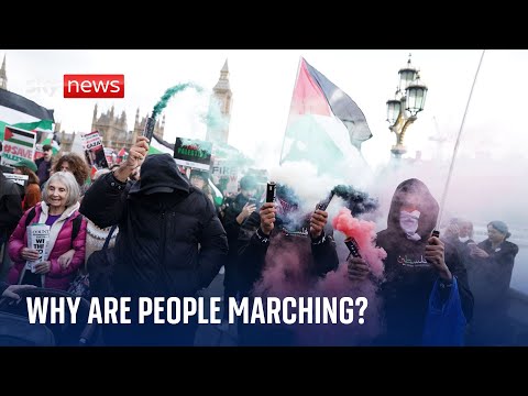 Israel-Hamas: Why are pro-Palestinian marches happening in London on Armistice Day?
