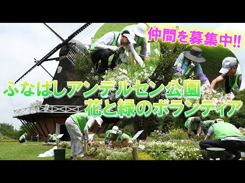 思わず写真が撮りたくなる　ふなばしアンデルセン公園の美しい景色の秘密