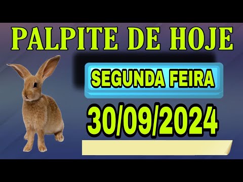 PALPITE DO NETO 30/09/2024