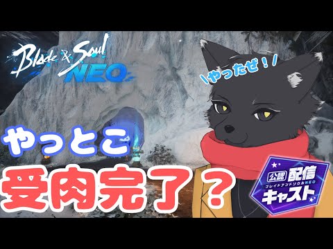 今日もそんな感じ【ブレイドアンドソウルNEO】