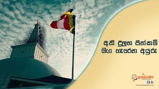 අති දුලභ පින්කම් මග හැරෙන අයුරු