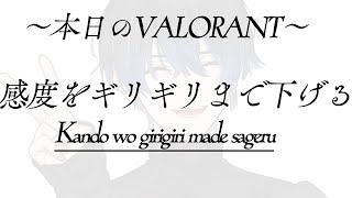 【VALORANT】ロー戦士の極みまで調整する、ランクもちょっとやる【青桐エイト/ネオポルテ】