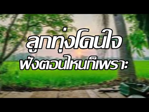 ลูกทุ่งโดนใจฟังตอนไหนก็เพราะ ลูกทุ่งโดนใจฟังตอนไหนก็เพราะ