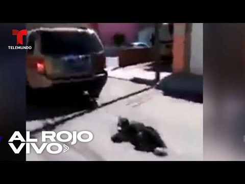 Captan a una mujer arrastrando a un perro en México