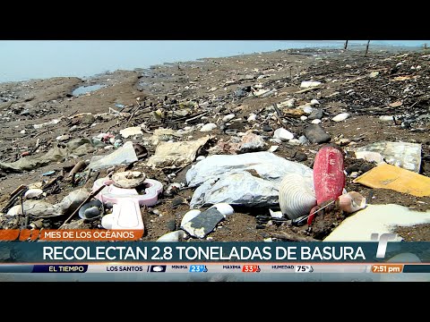 TR Verde: Limpieza de playa en Juan Díaz