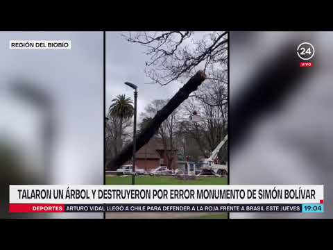 Talaron un árbol y destruyeron por error monumento de Simón Bolívar