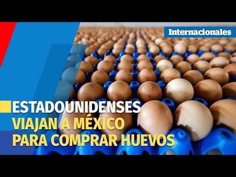 Estadounidenses se ven empujados a comprar huevos en México debido a la gripe aviar y la inflación