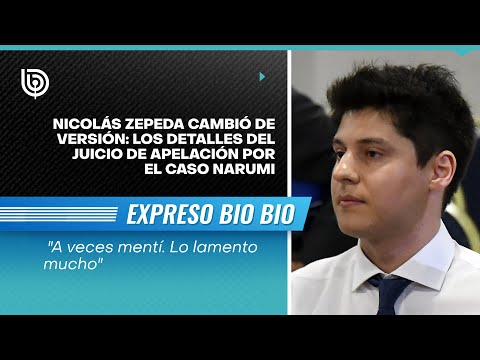 Nicolás Zepeda cambió de versión: los detalles del juicio de apelación por el Caso Narumi