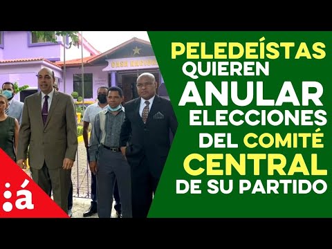 Dirigentes PLD abogan por anular elecciones al Comité Central; dicen proceso fue irregular