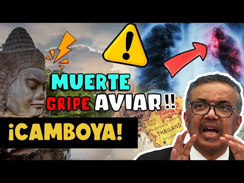 ¡ALERTA! OMS REGISTRA MUERTE EN CAMBOYA POR GRIPE AVIAR - NIÑA DE 11 AÑOS