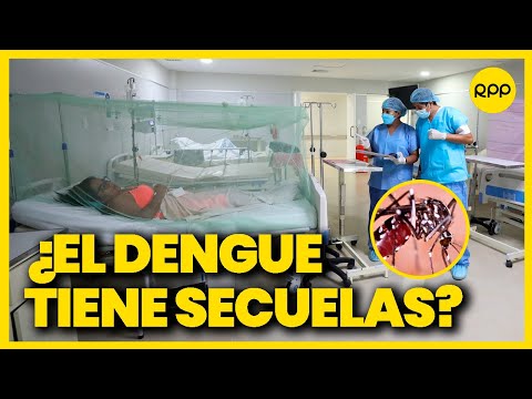 Dengue en Perú: 161% más casos que en 2022