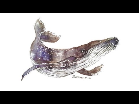 saib - whale call