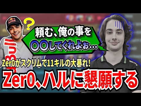 ベンチの熱量じゃない！Zer0がスクリムで文字通りの大暴れ！Zer0だけで11キルの試合後、懇願したある内容にハルの反応は...!【APEX翻訳】