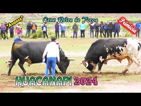 Pelea de Toros HUACANAPI 2024, Avance. (Video Oficial) de ALPRO BO.
