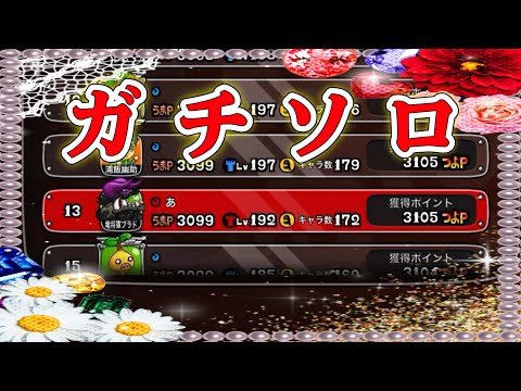 【城ドラ】トップランカーを目指してガチソロ【みっちぇる】