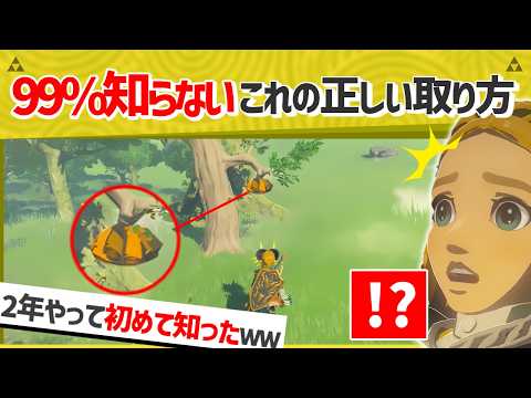 【天才】知らなきゃ損するティアキンの最強小ネタを紹介します！！【ティアキン】【面白クリップ集】
