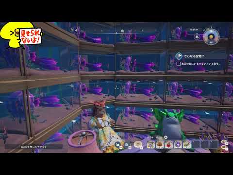 【Palia(パリア)】エメプーラジオ