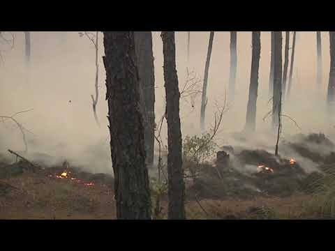 Jugando con fuego: México, consumido por incendios forestales