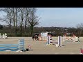 Show jumping pony Ponette de sport potentiel GP