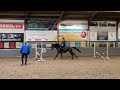Show jumping pony Top spring dressuur pony