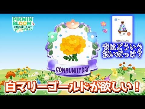 【ピクミンブルーム】白マリーゴールドが欲しい！青はどう使うか！？【Pikmin Bloom】
