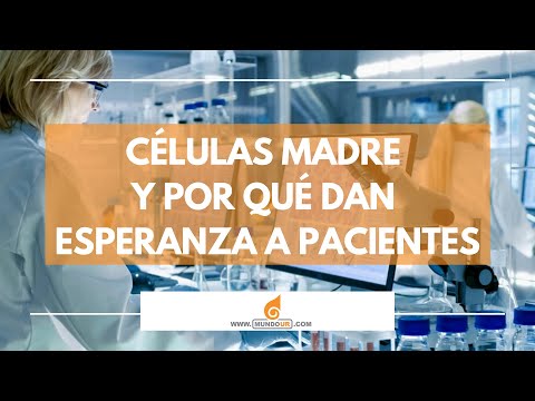 ¿Qué son las células madre y por qué dan esperanza a algunos pacientes? #PóngaleElOjo