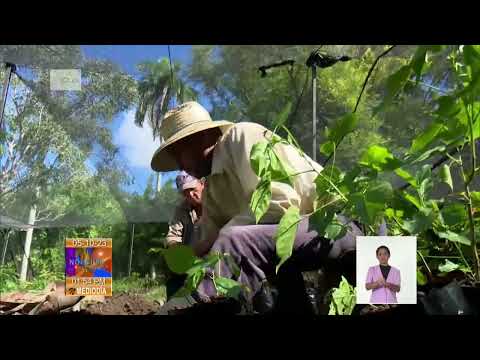 Cuba: Programa inversionista en Jardín Botánico de Cienfuegos