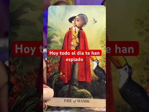 Horóscopo de hoy #shortvideo #shortsfeed #fyp #tarot #amor #shortsamor #shortstarot