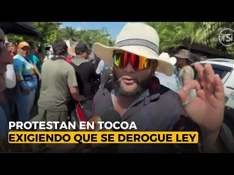 Protestan en Tocoa exigiendo que se derogue la ley de portación de armas