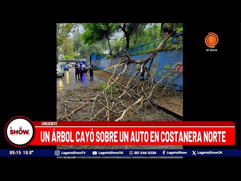 Un árbol cayó sobre un auto en Costanera norte - Noticias de Córdoba