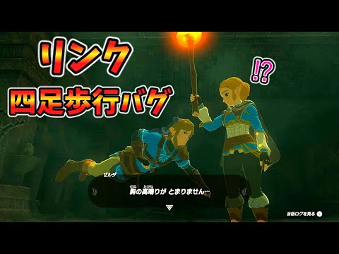リンクが四足歩行になるバグ技！？(ver1.0.0)【ティアキン TotK】裏技 バグ 検証 ゆっくり実況 glitch