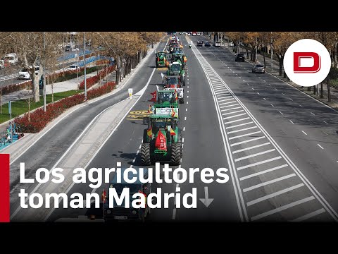 Cinco columnas de tractores toman Madrid para exigir soluciones al campo