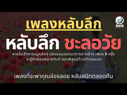 เพลงกล่อมนอนผู้ใหญ่-บำบัดความเ เพลงกล่อมนอนผู้ใหญ่-บำบัดความเ
