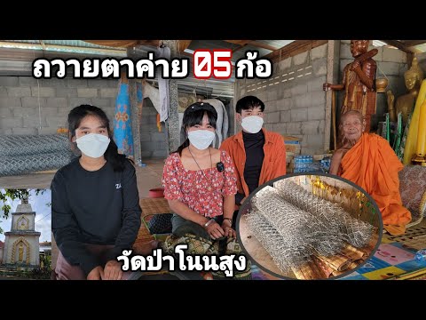 ถวายตาค่ายให้วัดป่าโพนสูง-|-ทิ ถวายตาค่ายให้วัดป่าโพนสูง-|-ทิ