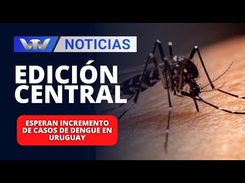 Edición Central 11/03 | Esperan incremento de casos de dengue en Uruguay