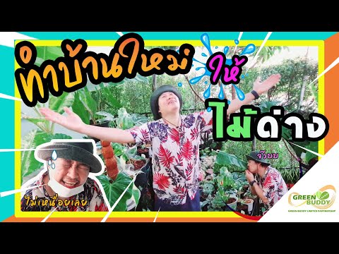 ทำบ้านใหม่ให้ไม้ด่าง!!|ฟลอริด