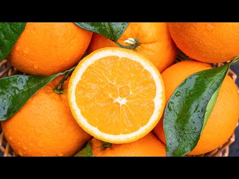 La industria de naranja navel fomenta la economía de la municipalidad china de Chongqing