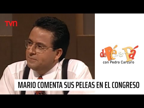Las antiguas peleas de Mario Palestro en el congreso | De Pé a Pá