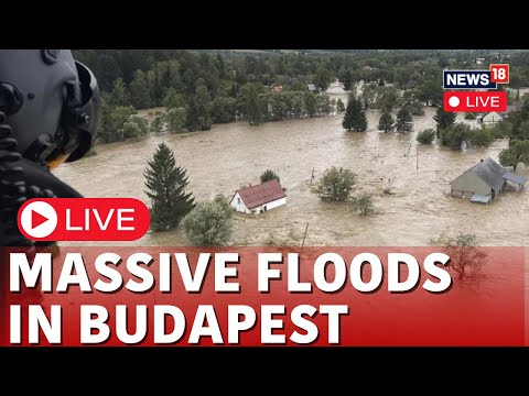 Budapest Flood 2024 LIVE | Budapest Flood News | River Danube Peaks | River Danube Water Level| N18G