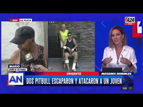 La Plata: dos pitbull mordieron más de 50 veces a un joven