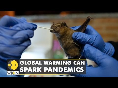 🌎Climate crisis & viral spillovers: Scientists call for urgent climate action to mitigate threat